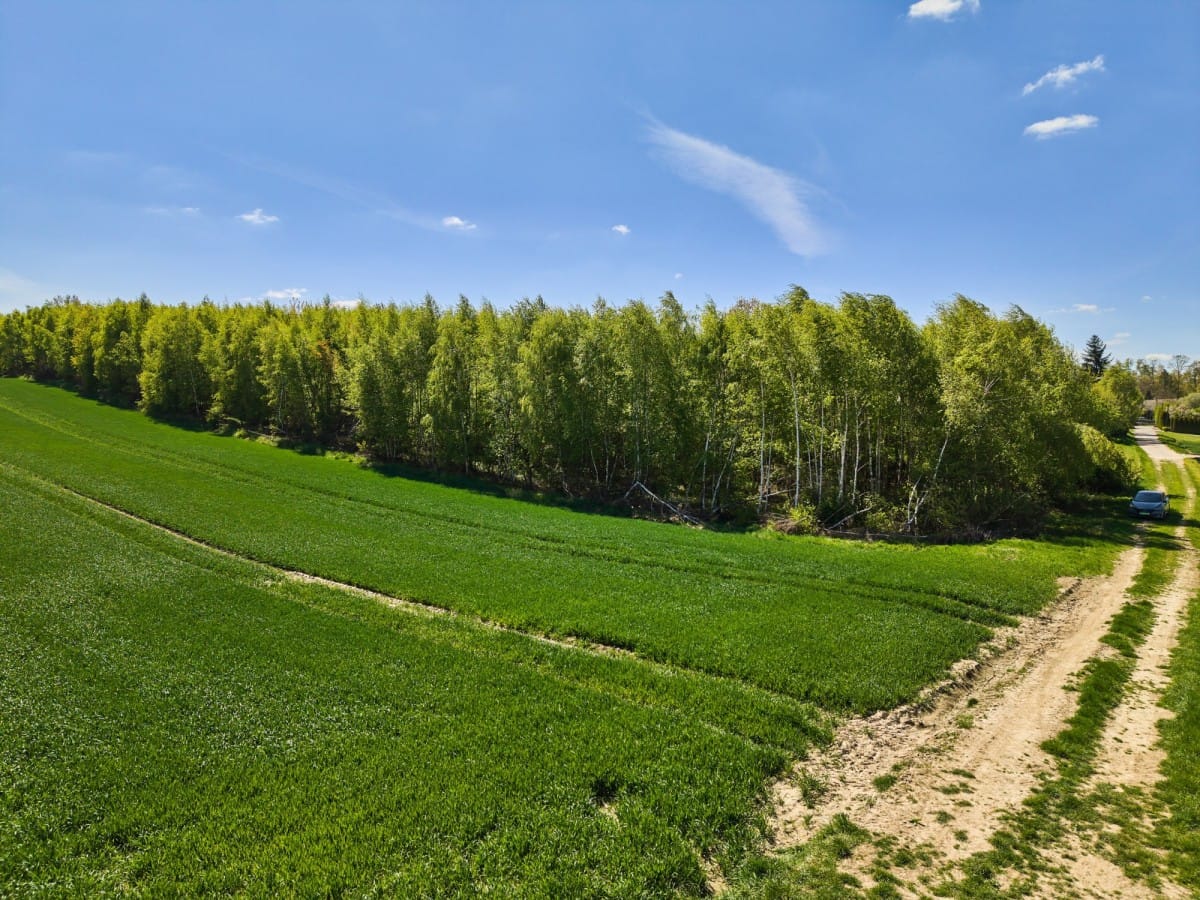 Działka  pokojowe na Sprzedaż