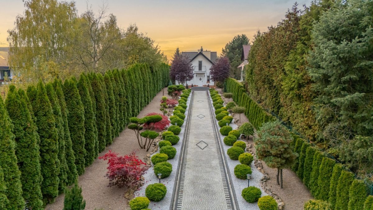 Dom 3 pokojowe na Sprzedaż