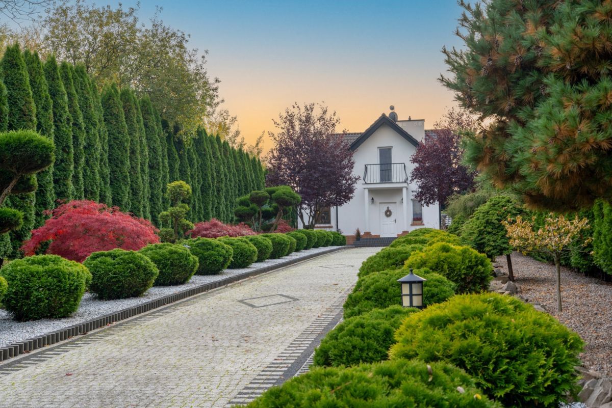 Dom 3 pokojowe na Sprzedaż