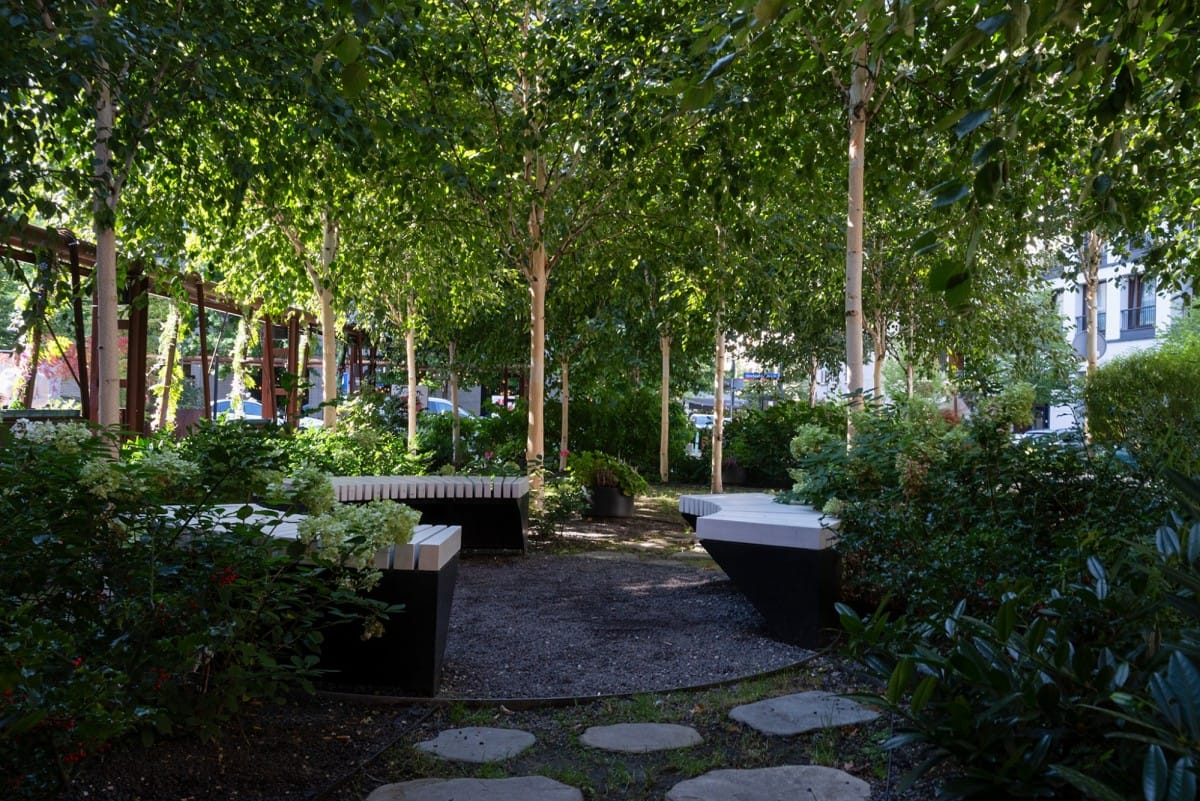 Mieszkanie 7 pokojowe na Sprzedaż