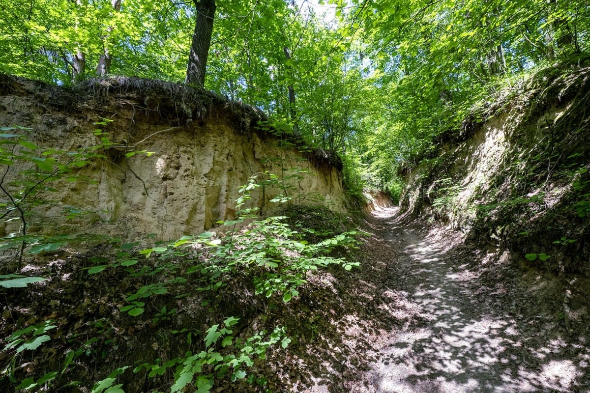 Lokal użytkowy  pokojowe na Sprzedaż
