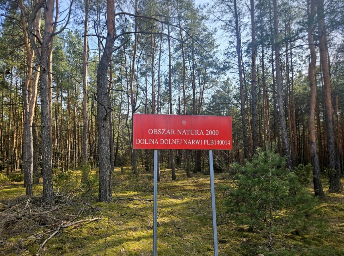 Dom  pokojowe na Sprzedaż