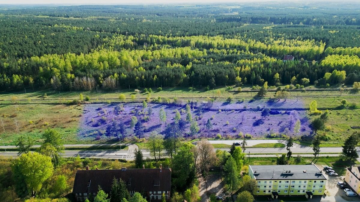 Działka  pokojowe na Sprzedaż