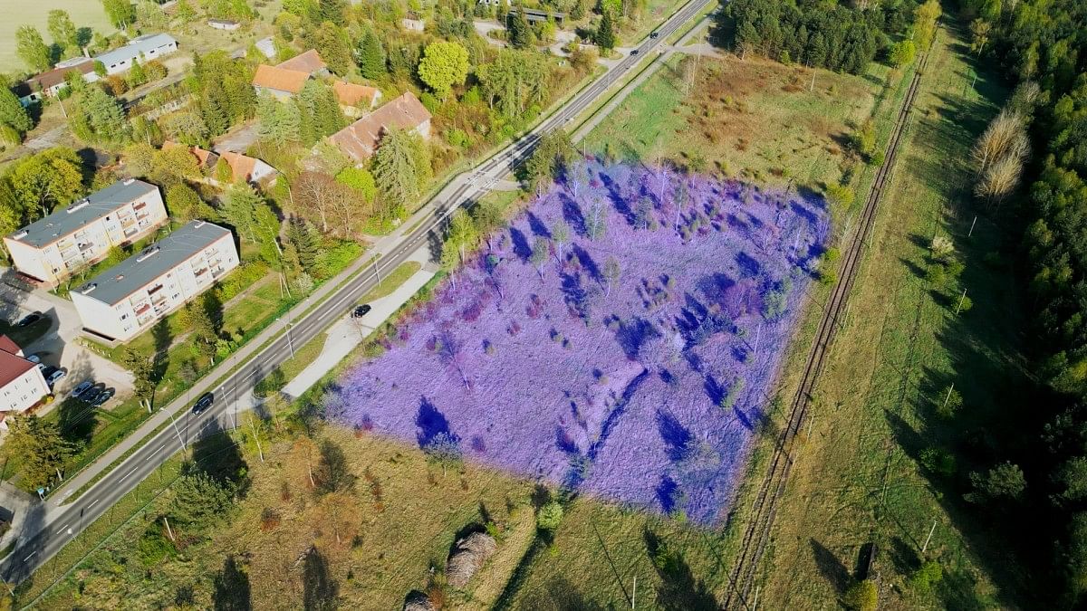 Działka  pokojowe na Sprzedaż