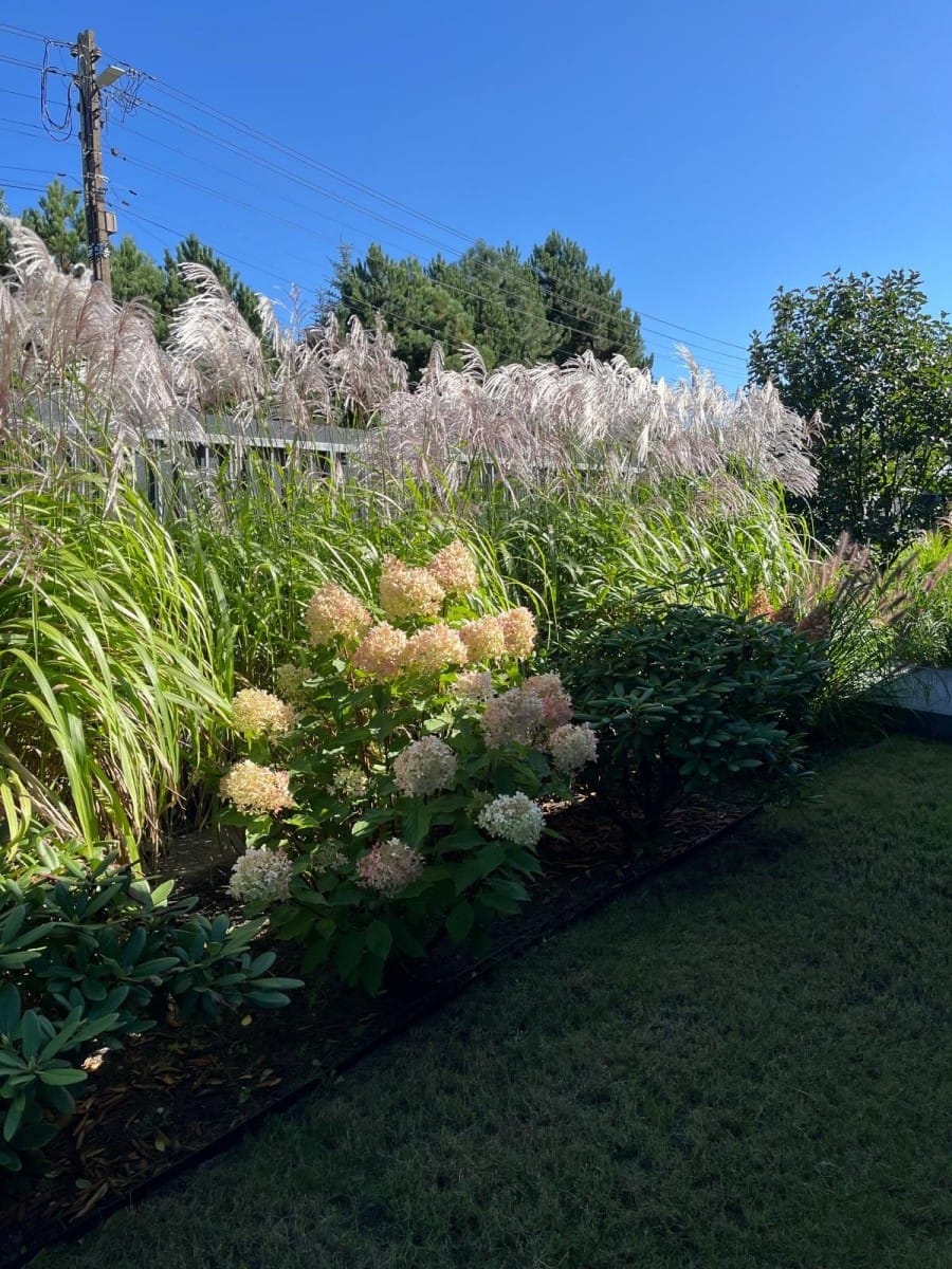Dom 7 pokojowe na Sprzedaż