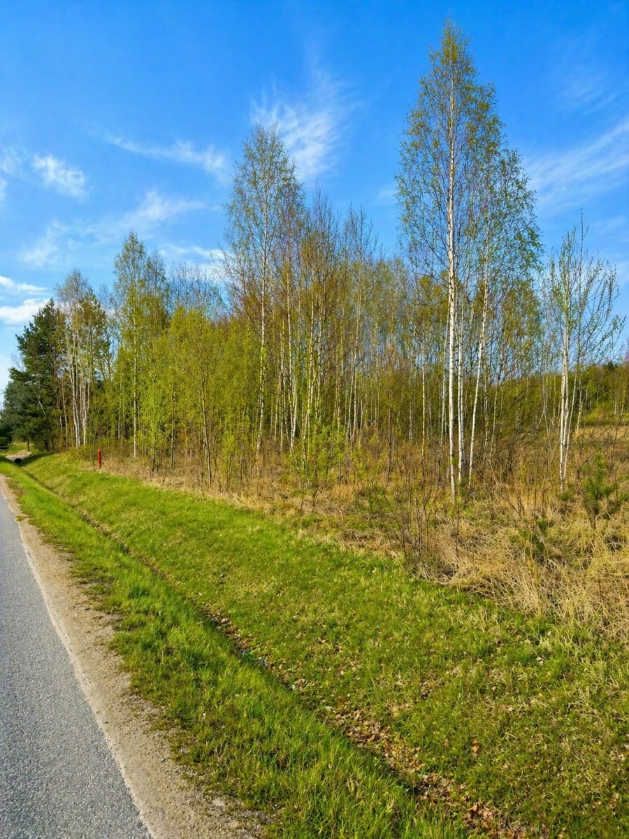 Działka  pokojowe na Sprzedaż