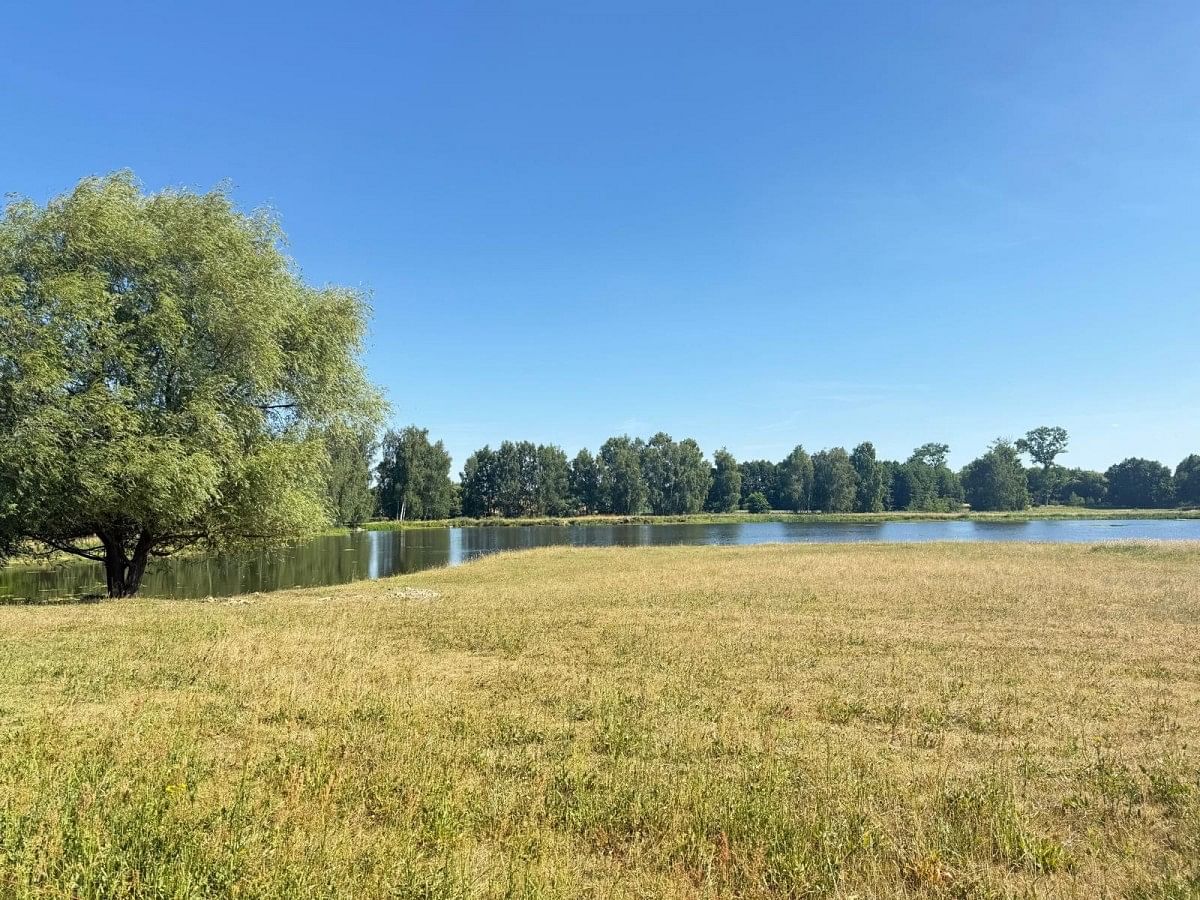 Dom 5 pokojowe na Sprzedaż