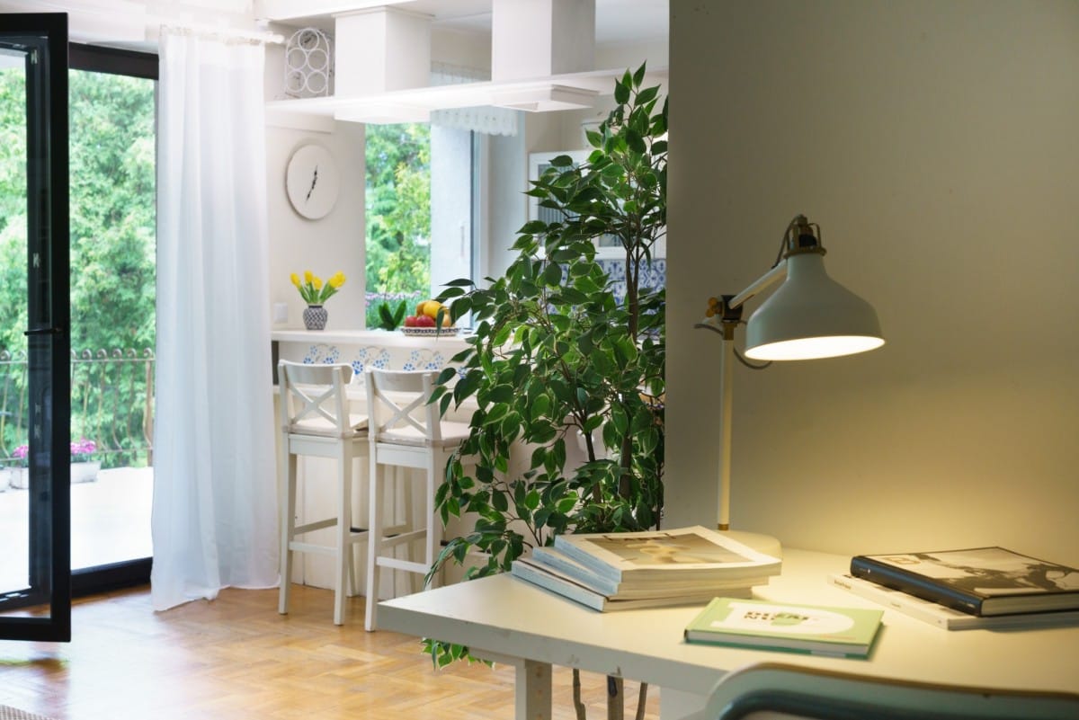 Dom 6 pokojowe na Sprzedaż