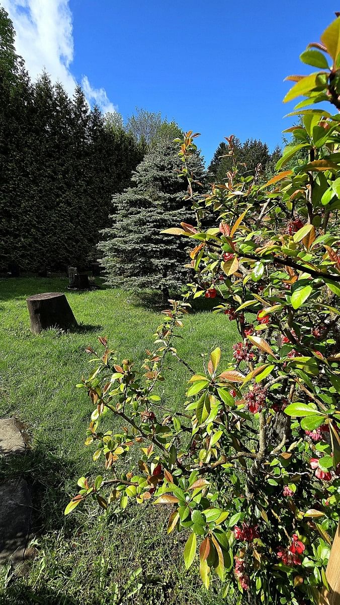 Dom 5 pokojowe na Sprzedaż