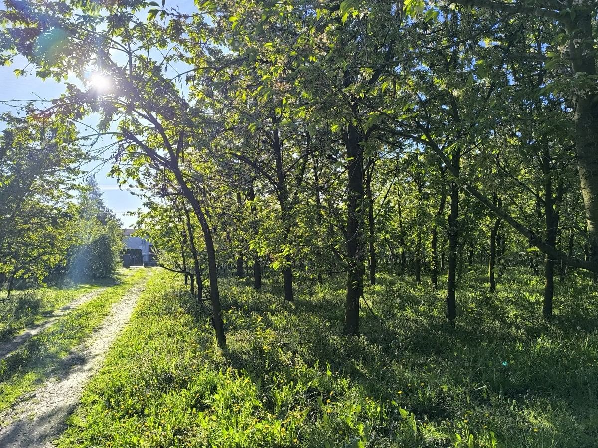 Działka  pokojowe na Sprzedaż