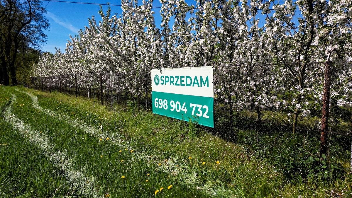 Działka  pokojowe na Sprzedaż