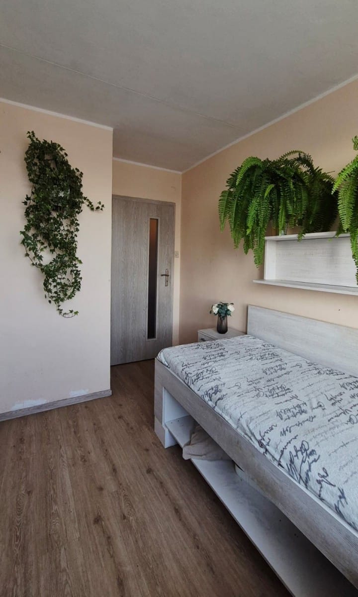 Mieszkanie 2 pokojowe na Sprzedaż