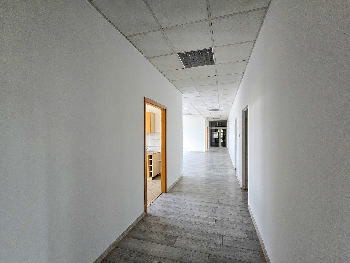 Lokal użytkowy  pokojowe na Wynajem
