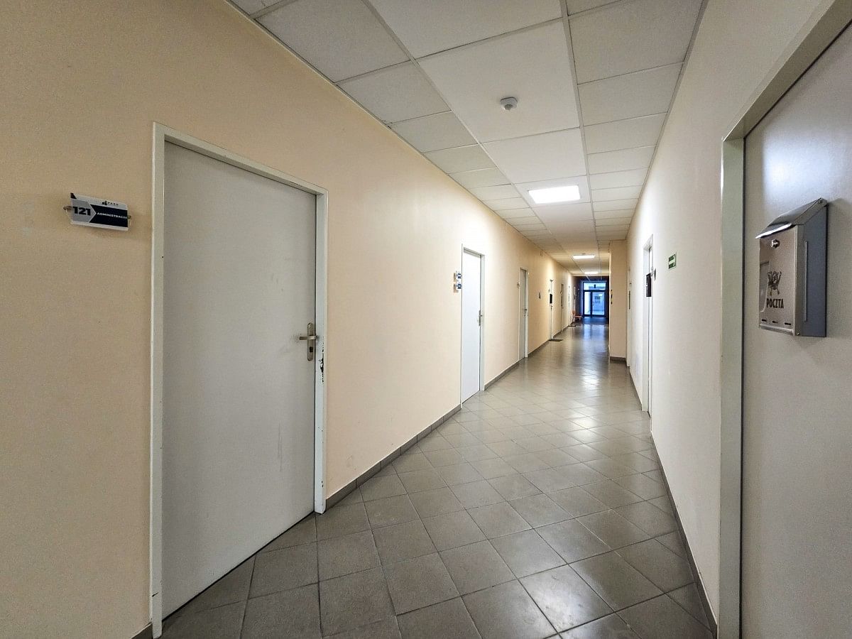 Lokal użytkowy  pokojowe na Wynajem