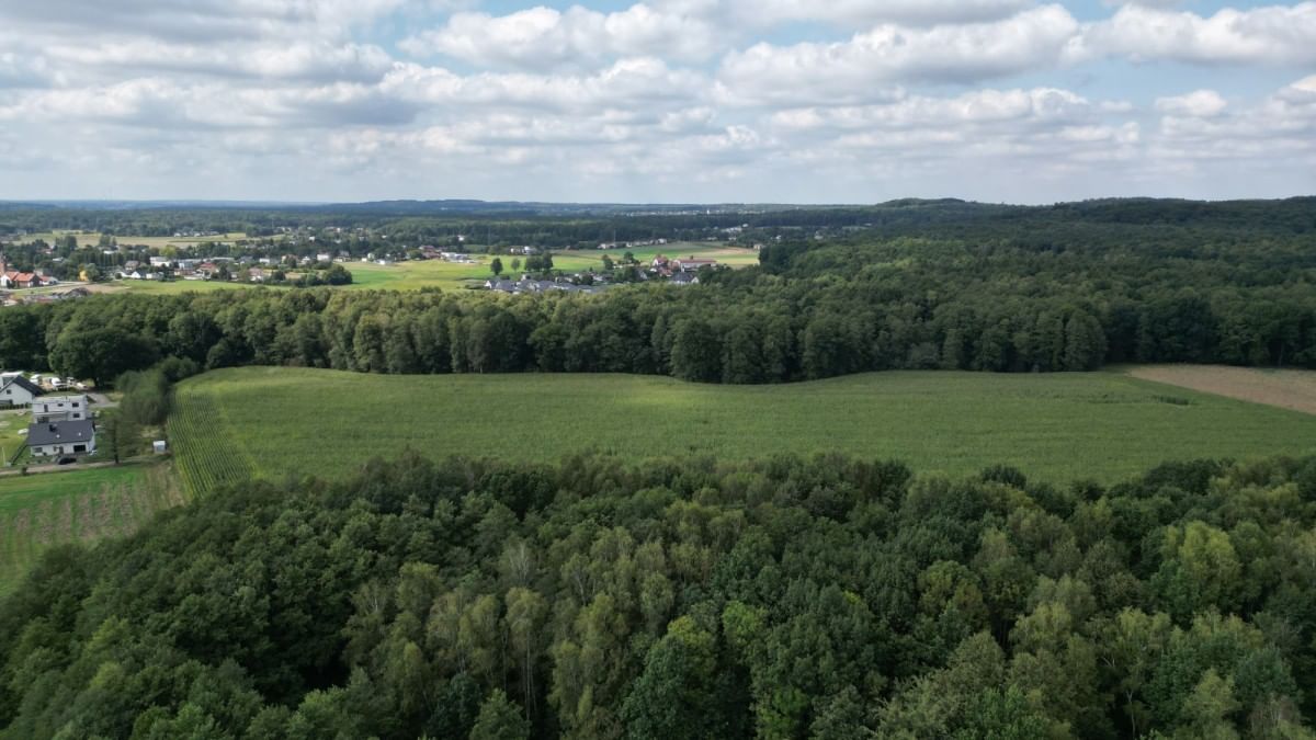 Dom 5 pokojowe na Sprzedaż