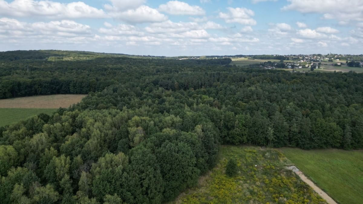 Dom 5 pokojowe na Sprzedaż