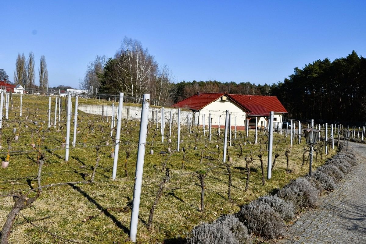Dom 7 pokojowe na Sprzedaż