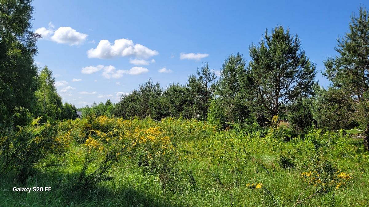 Działka  pokojowe na Sprzedaż