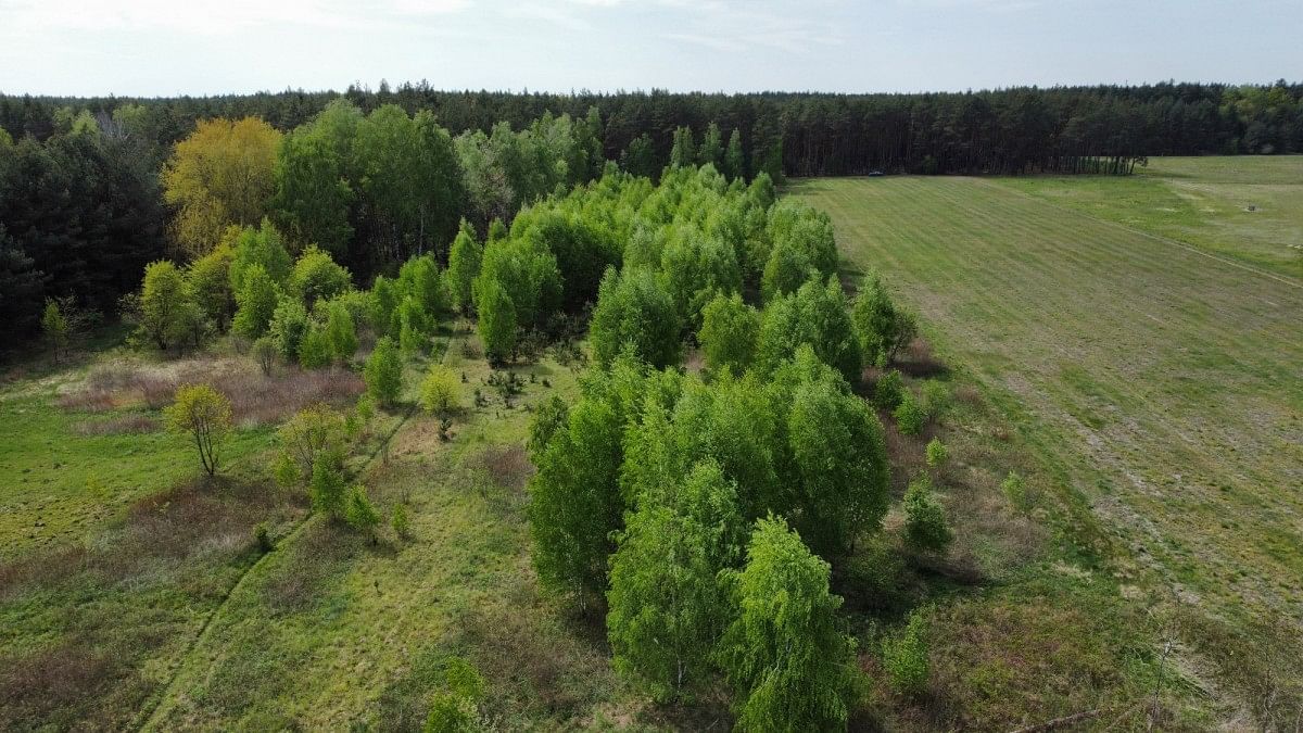 Działka  pokojowe na Sprzedaż