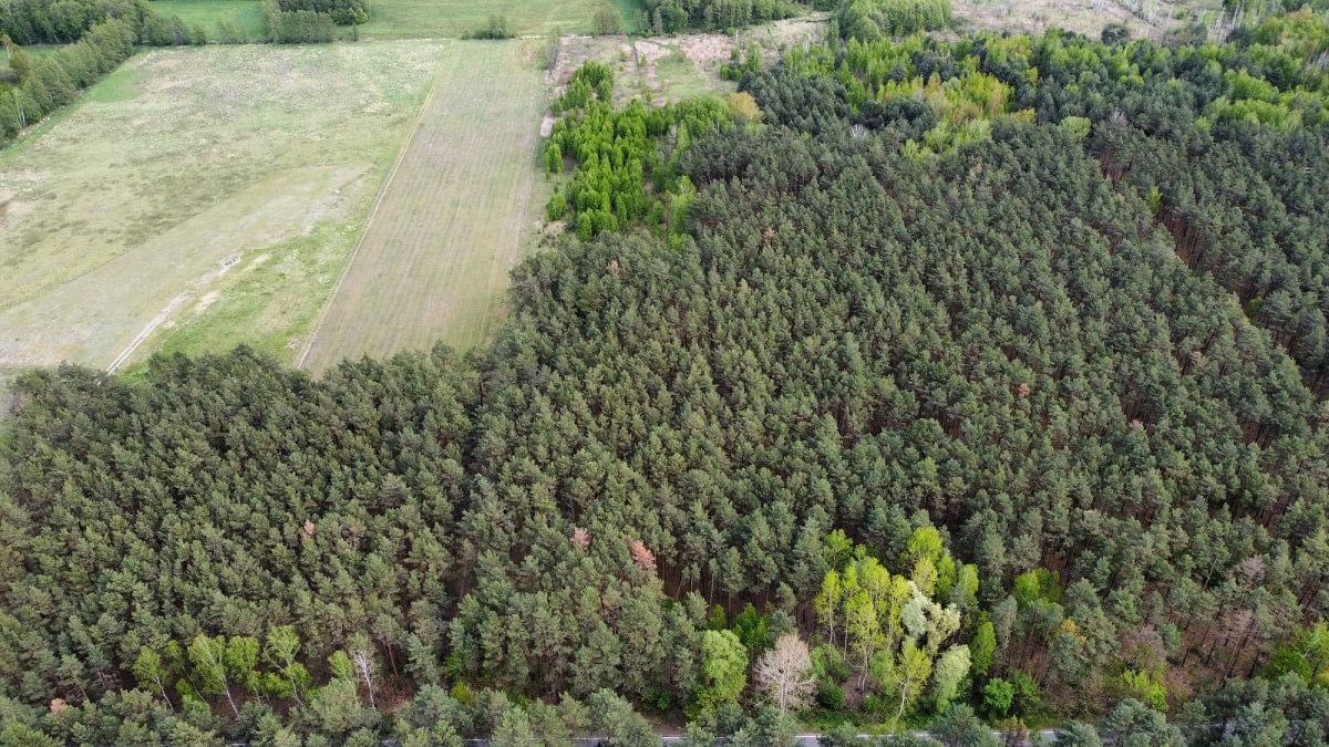 Działka  pokojowe na Sprzedaż