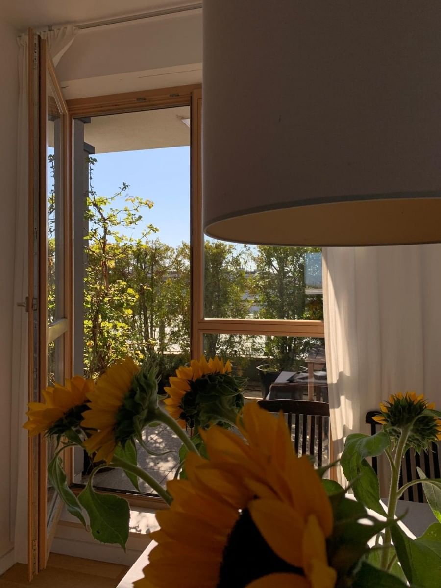 Mieszkanie 5 pokojowe na Sprzedaż