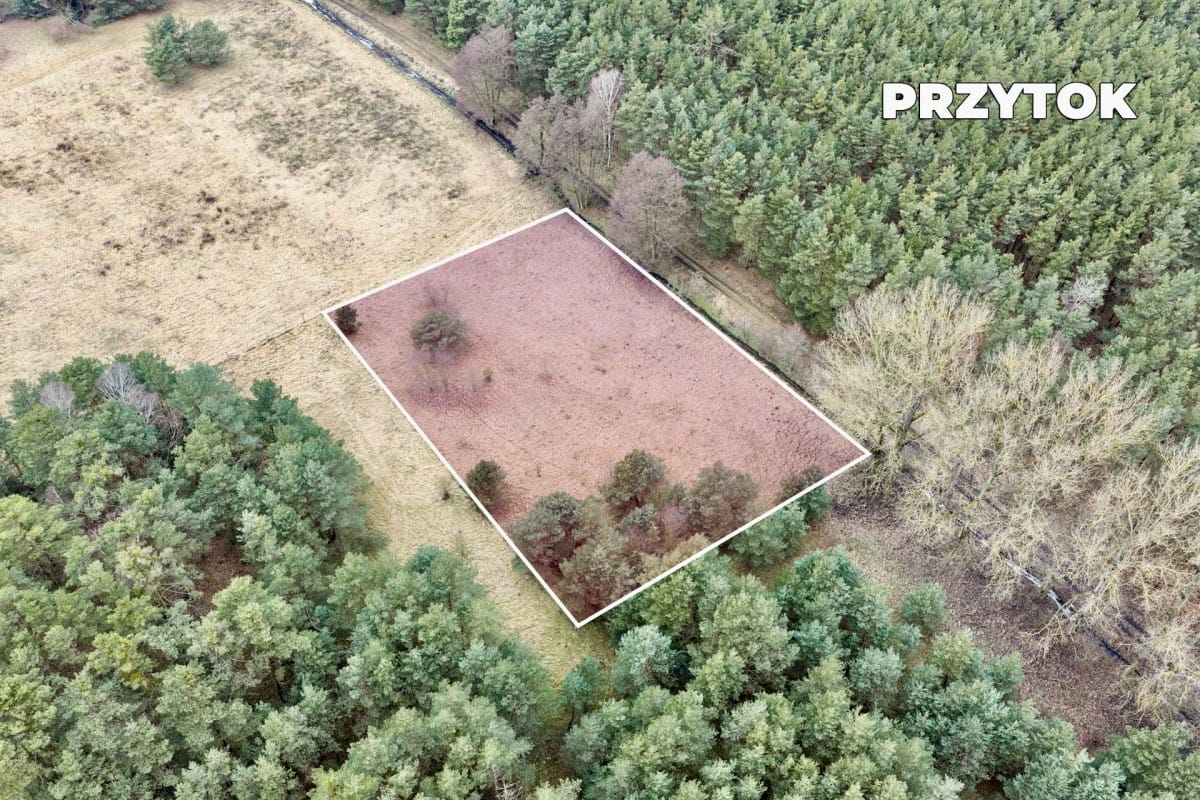 Działka  pokojowe na Sprzedaż