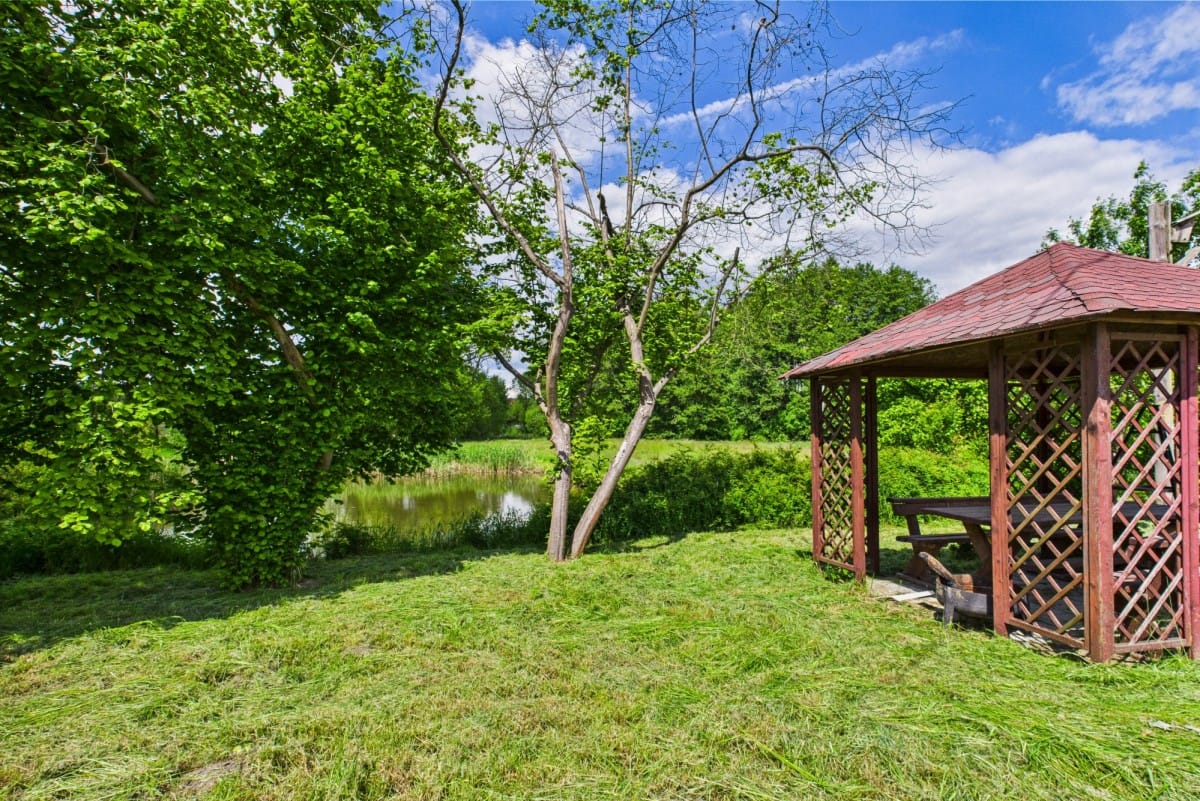 Dom 7 pokojowe na Sprzedaż