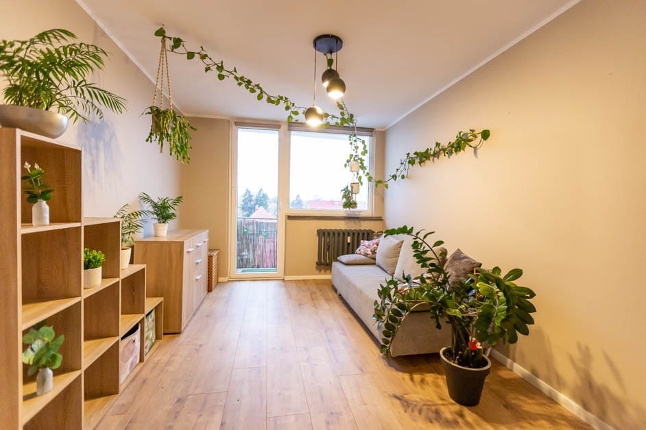 Mieszkanie 3 pokojowe na Wynajem