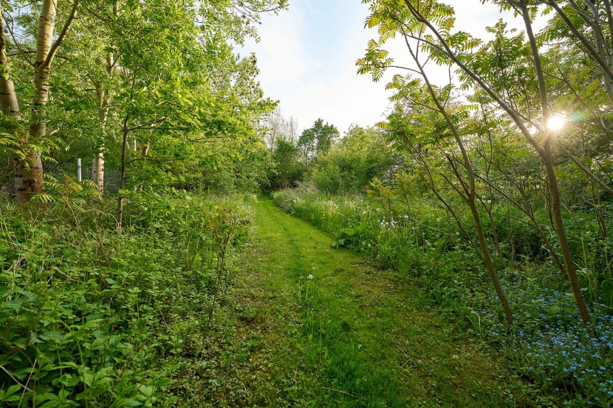 Lokal użytkowy  pokojowe na Sprzedaż