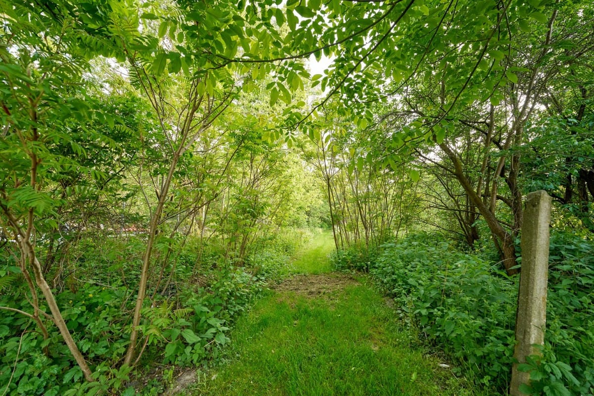 Mieszkanie 6 pokojowe na Sprzedaż