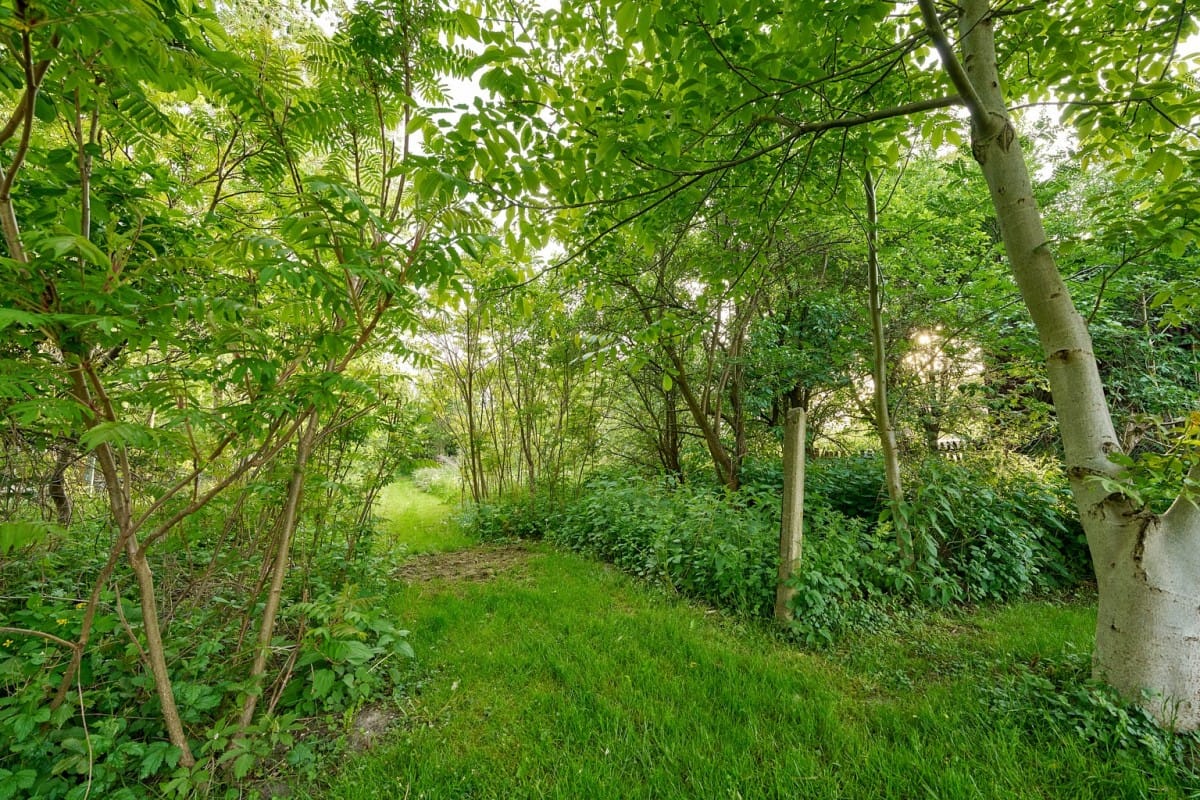 Mieszkanie 6 pokojowe na Sprzedaż