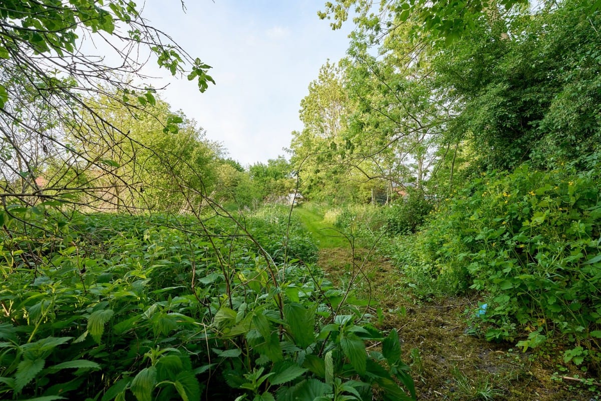 Mieszkanie 6 pokojowe na Sprzedaż