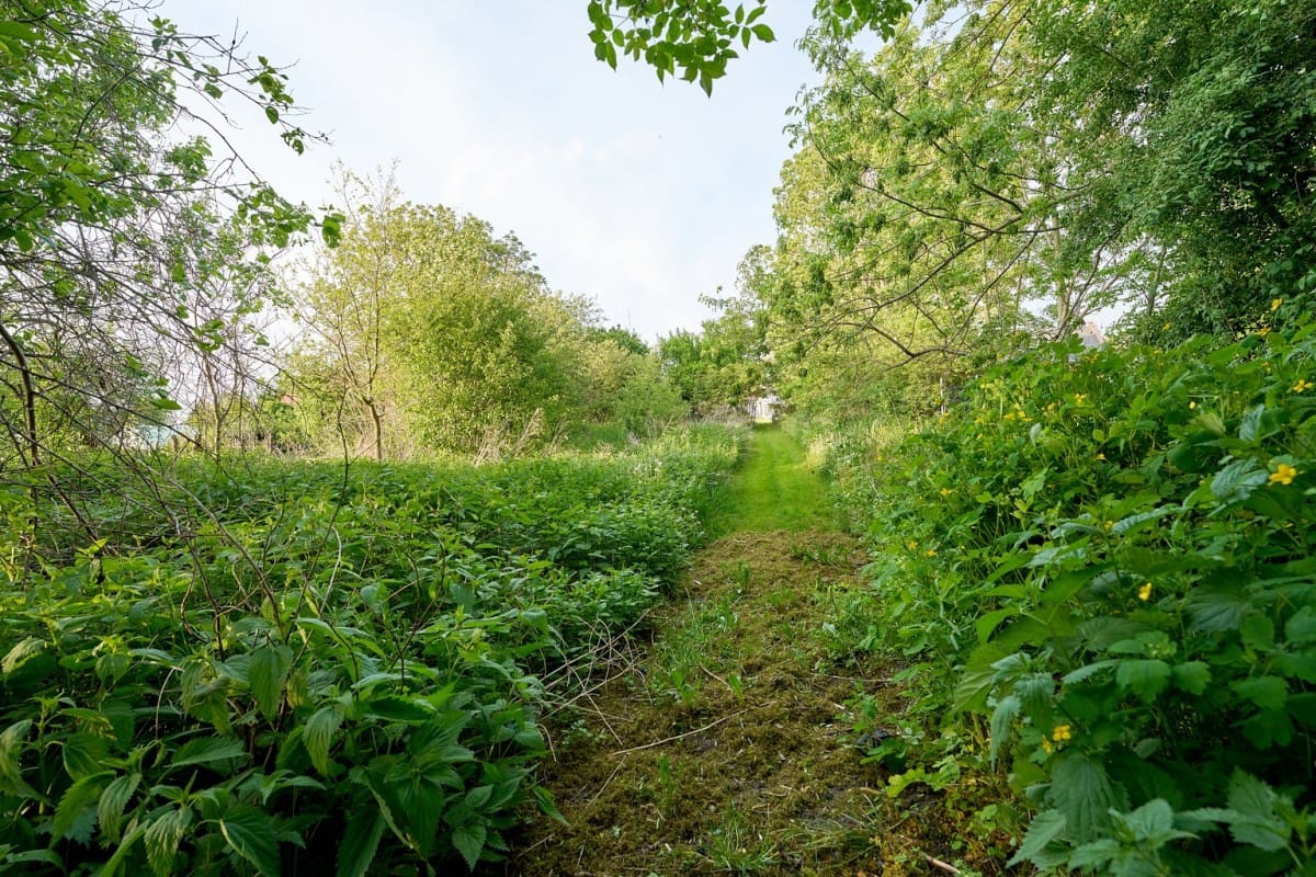 Mieszkanie 6 pokojowe na Sprzedaż