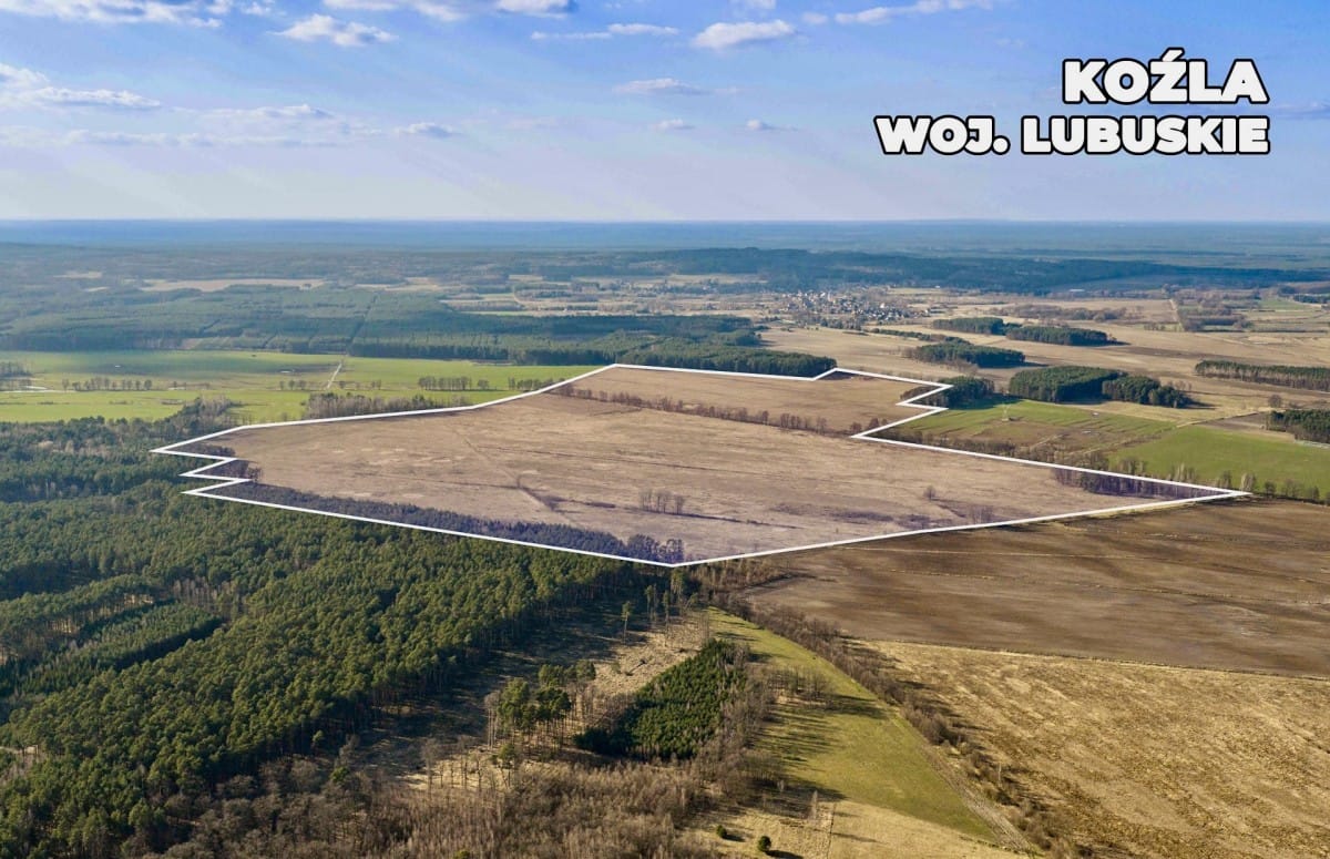 Działka  pokojowe na Sprzedaż