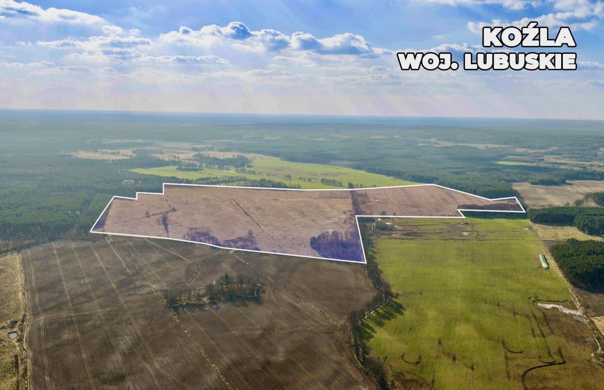 Działka  pokojowe na Sprzedaż