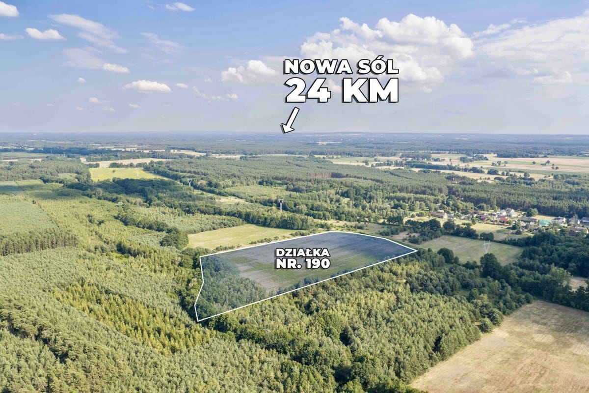 Działka  pokojowe na Sprzedaż