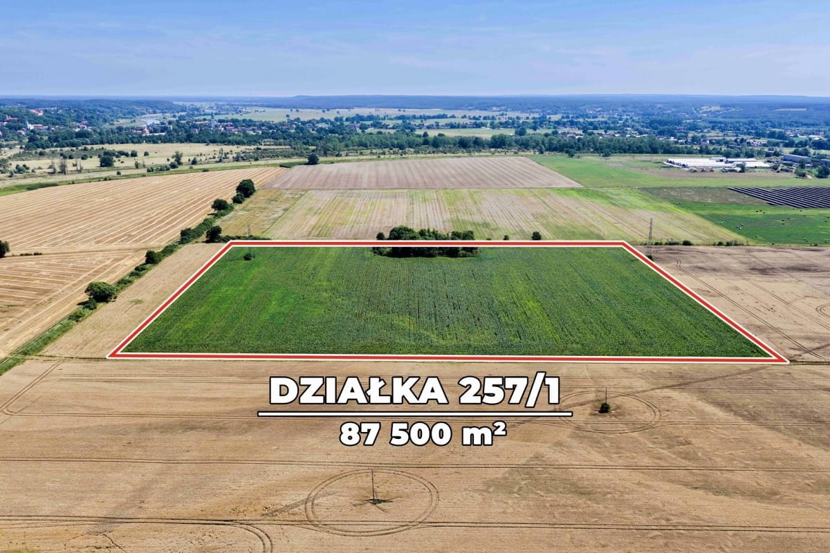 Działka  pokojowe na Sprzedaż