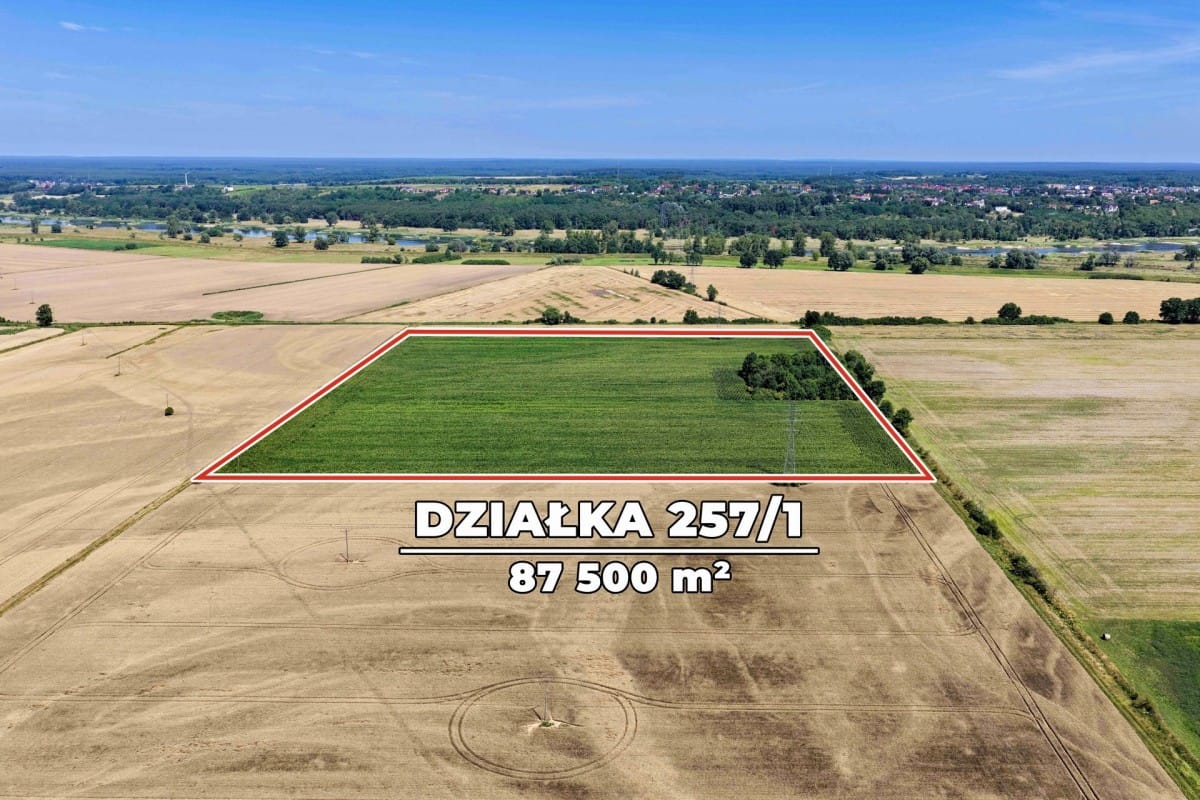 Działka  pokojowe na Sprzedaż