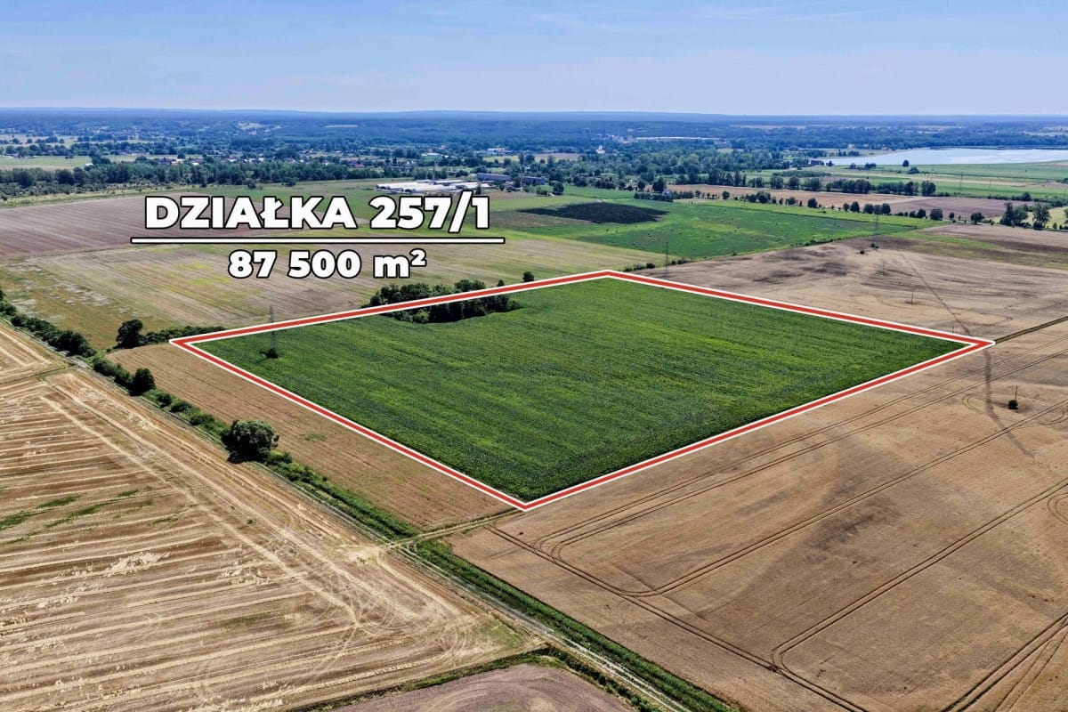 Działka  pokojowe na Sprzedaż