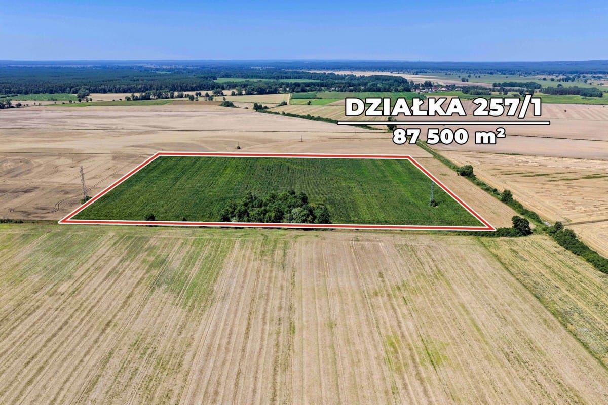 Działka  pokojowe na Sprzedaż