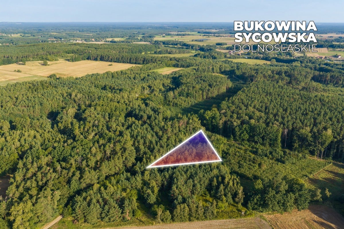 Działka  pokojowe na Sprzedaż