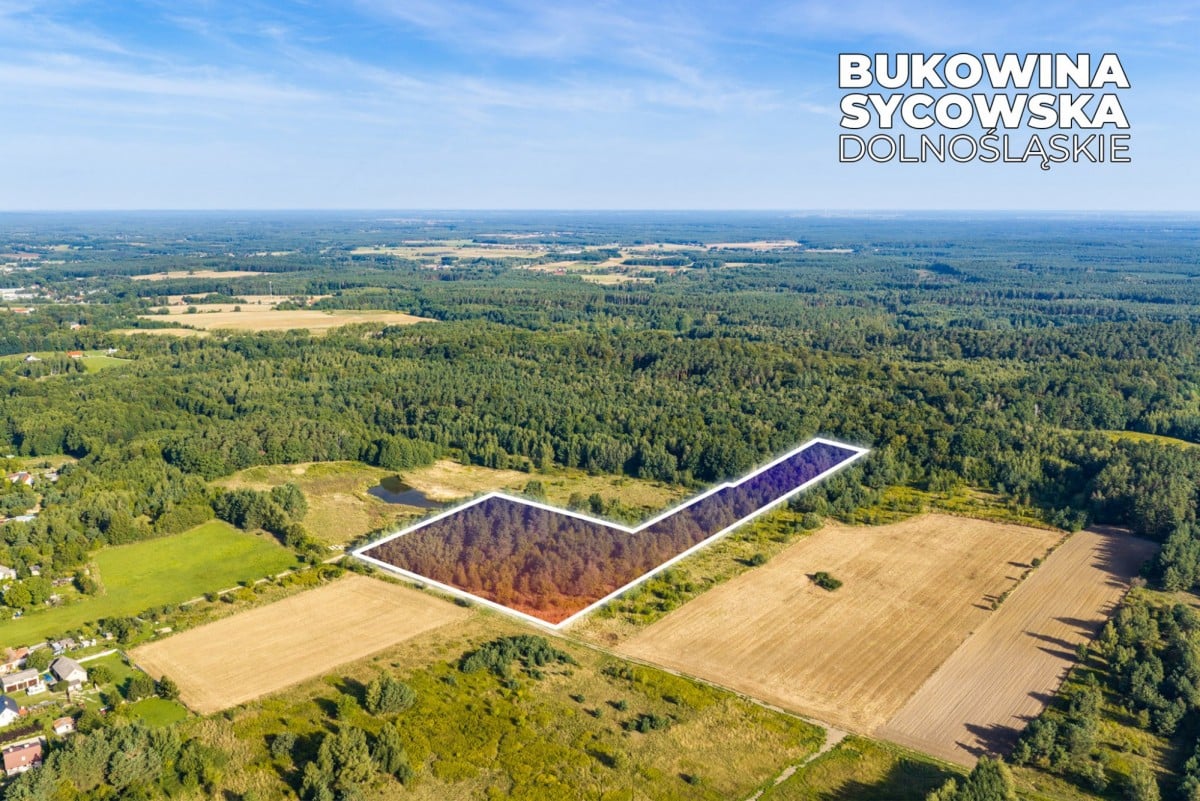 Działka  pokojowe na Sprzedaż