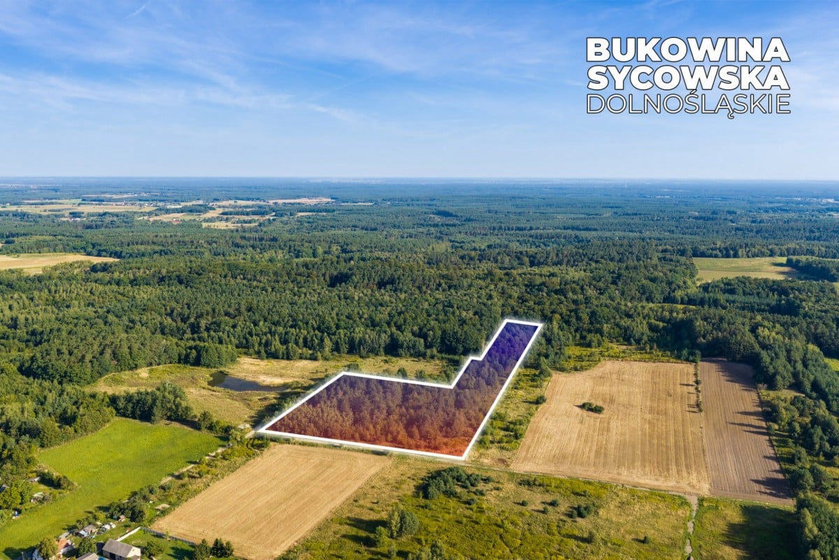 Działka  pokojowe na Sprzedaż