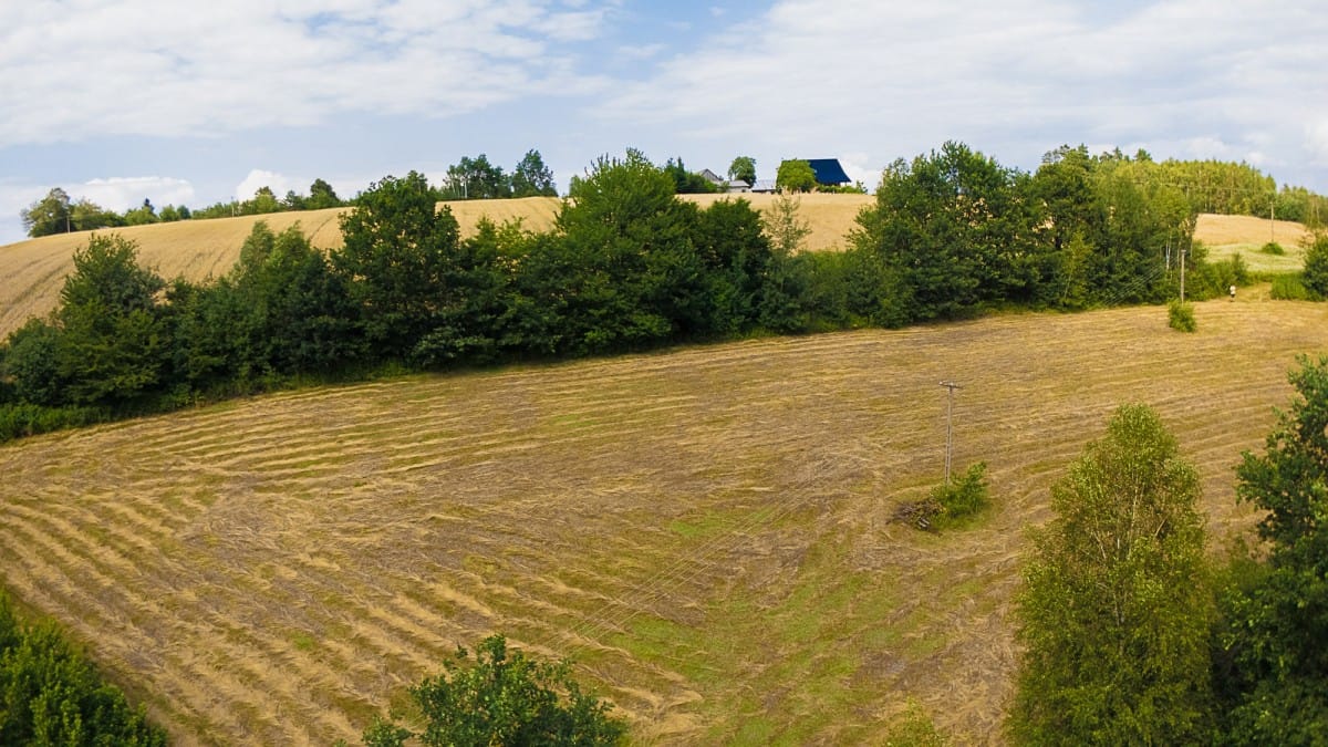 Działka  pokojowe na Sprzedaż