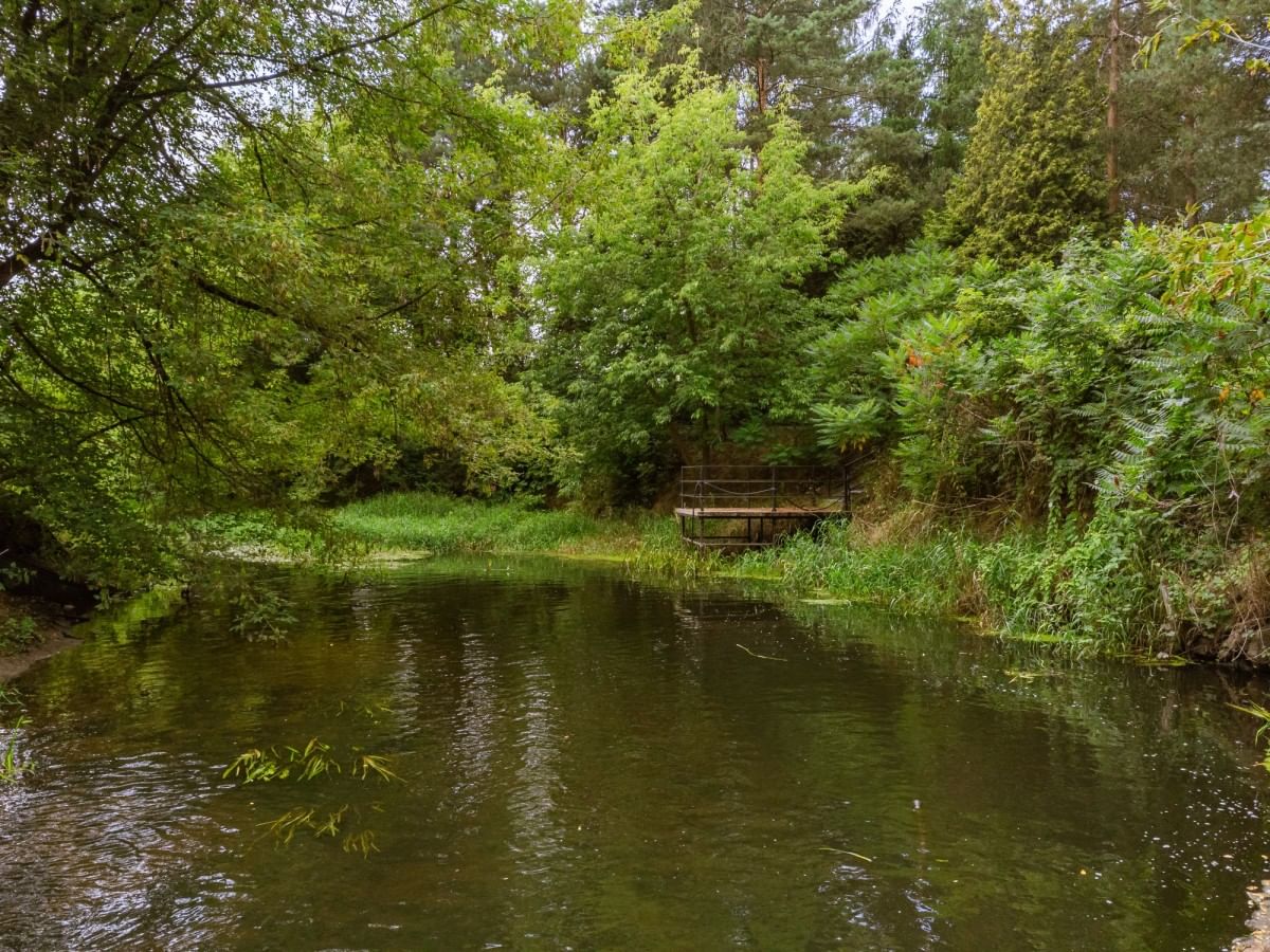 Dom 6 pokojowe na Sprzedaż