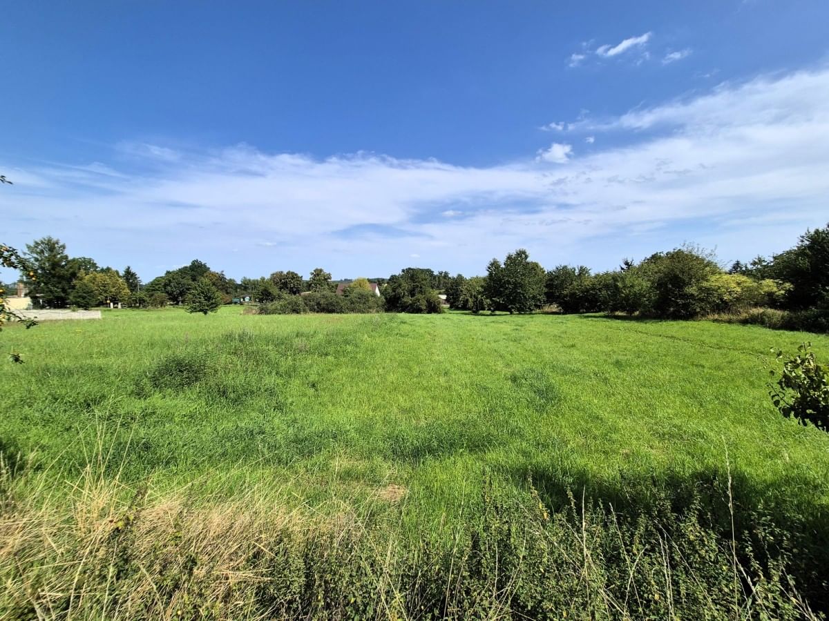 Dom 6 pokojowe na Sprzedaż