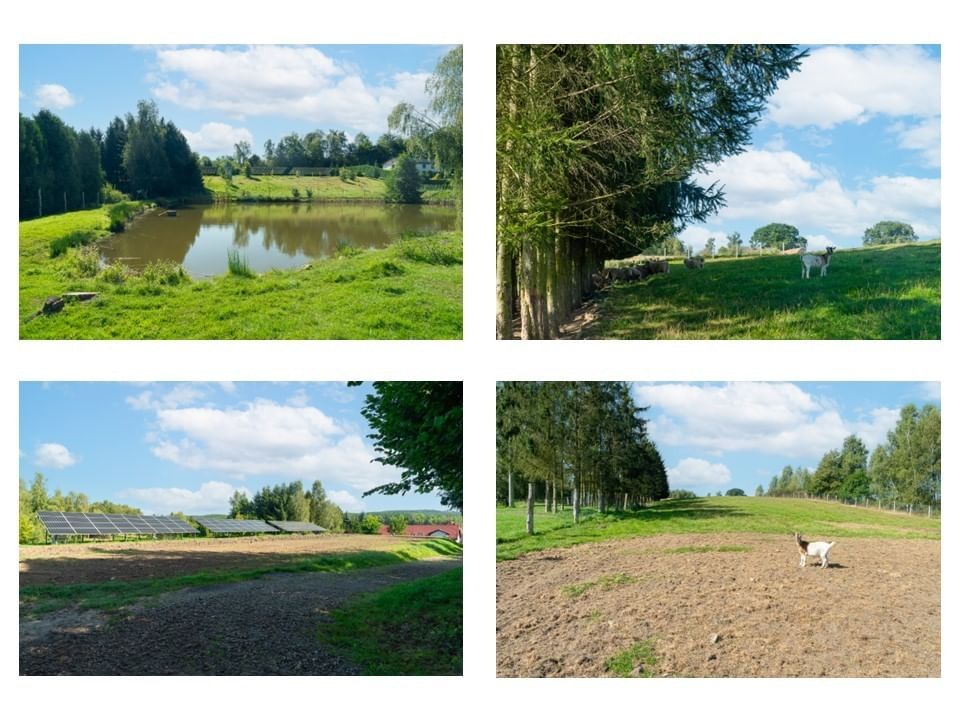 Lokal użytkowy  pokojowe na Sprzedaż