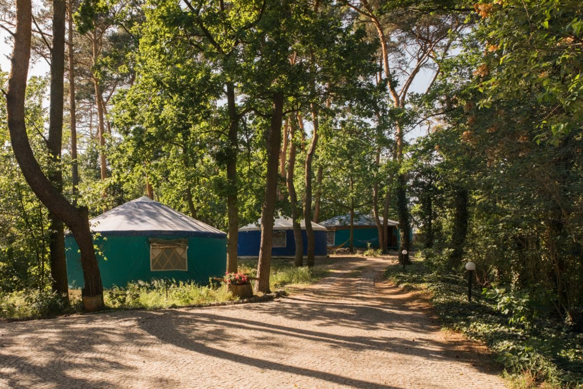 Dom 5 pokojowe na Sprzedaż