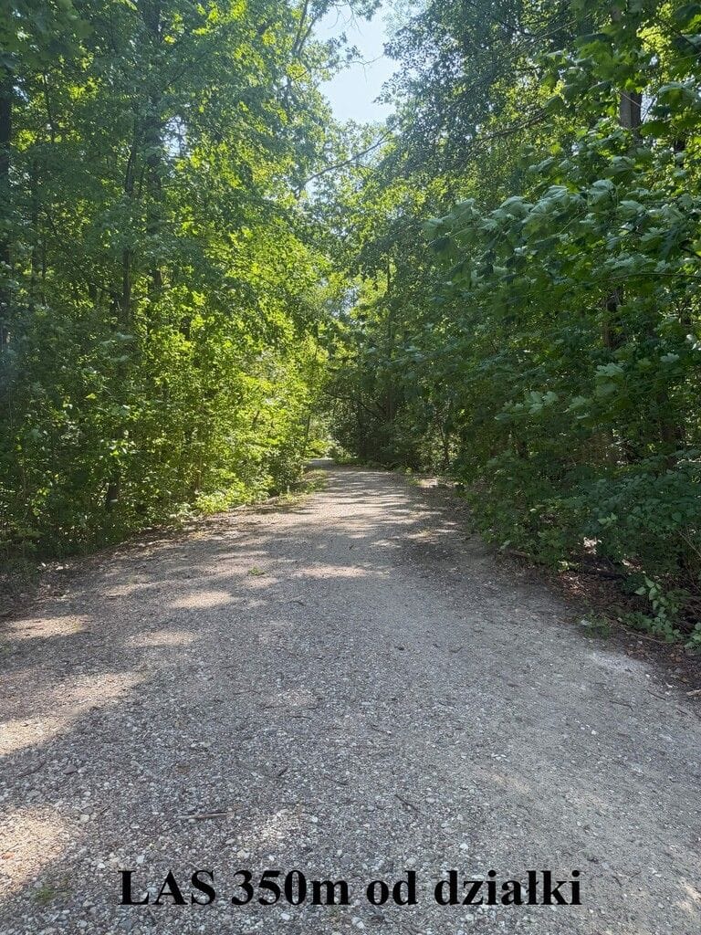 Działka  pokojowe na Sprzedaż