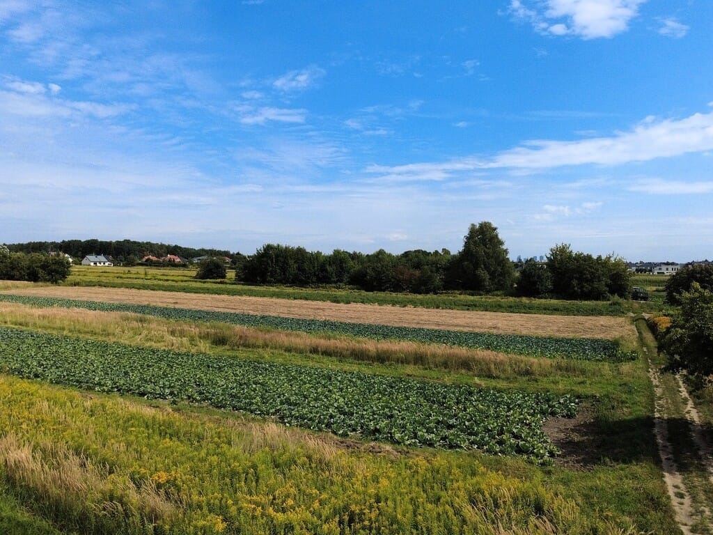Działka  pokojowe na Sprzedaż